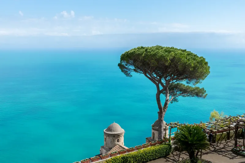 A lone pine on a garden terrace in Ravello, high above the sea.